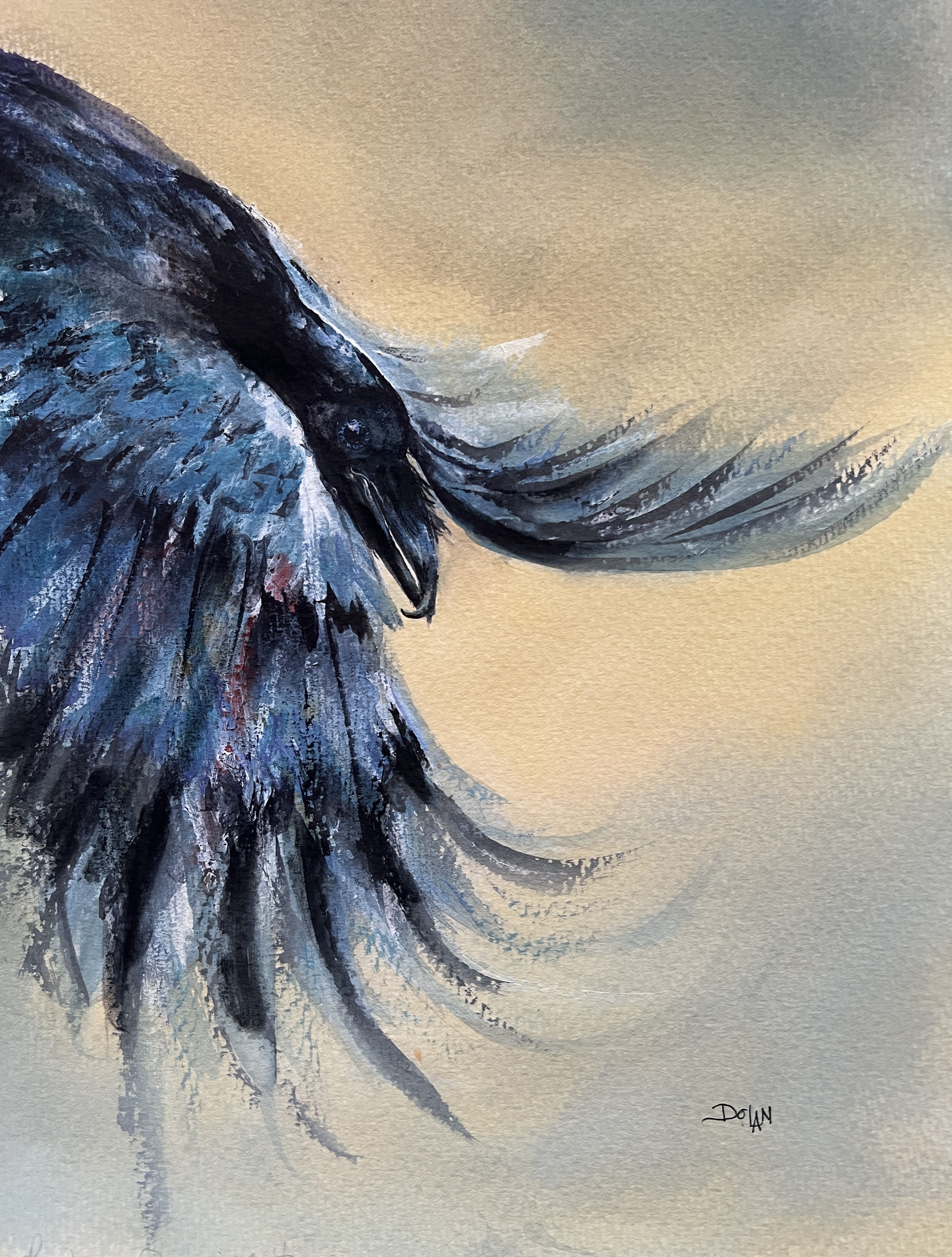 Raven Descent Jpg
